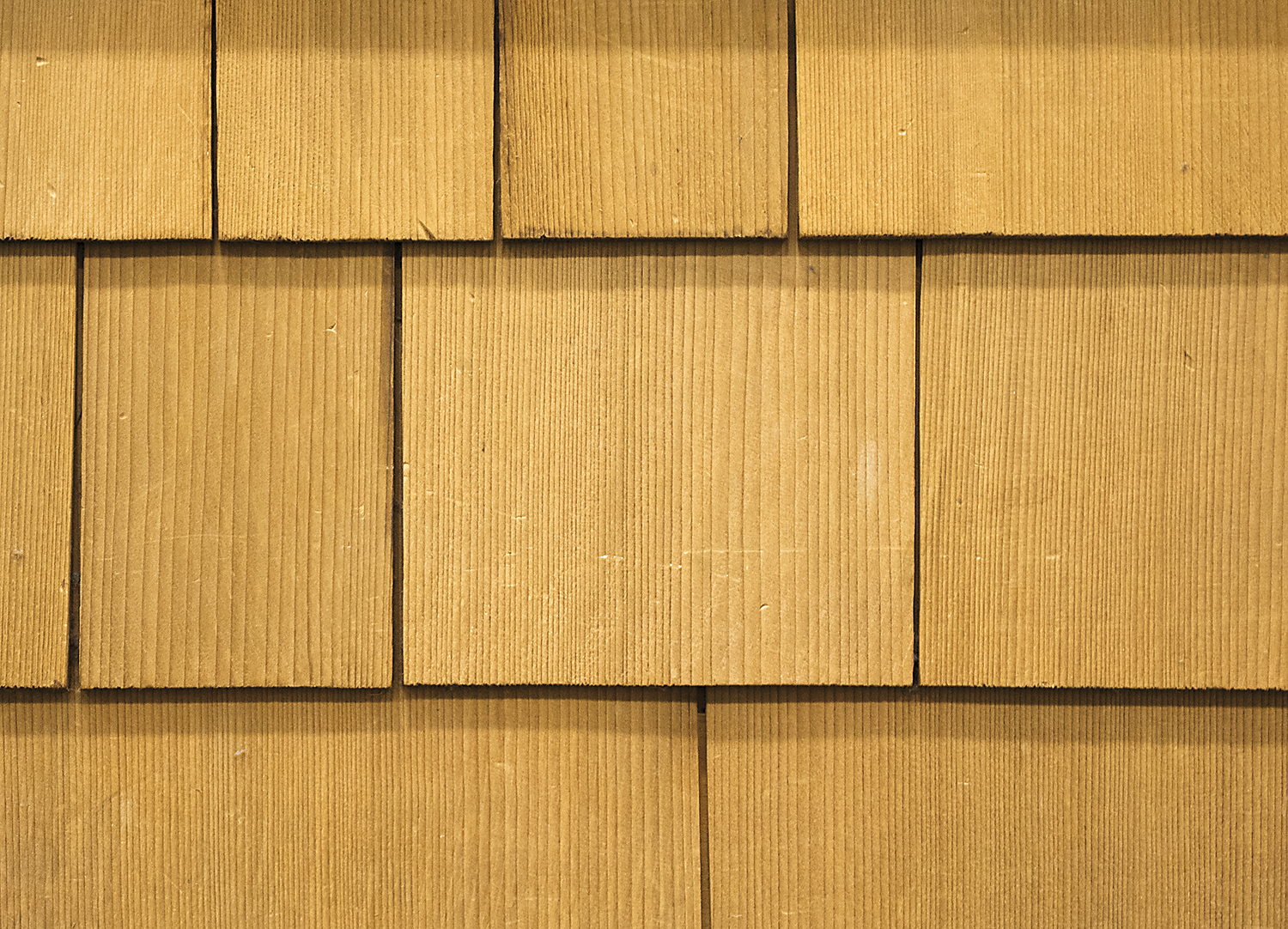 Shakes & Shingles